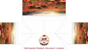(3x6) - Koło Gospodyń Wiejskich Cebrowianie w Cegłowie